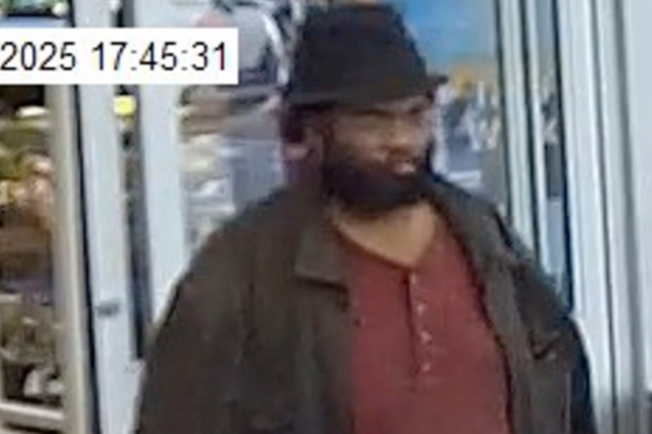 Importance of accessible firearms